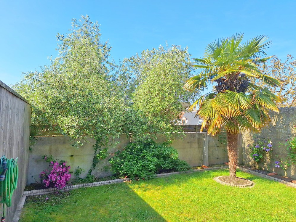 MAISON T3 DE PLAIN PIED EN HYPER CENTRE VILLE - BELLE PIECE DE VIE - PARKING - CAVE - CALME - RARE